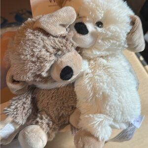 Adorable Warmey Puppy Duo